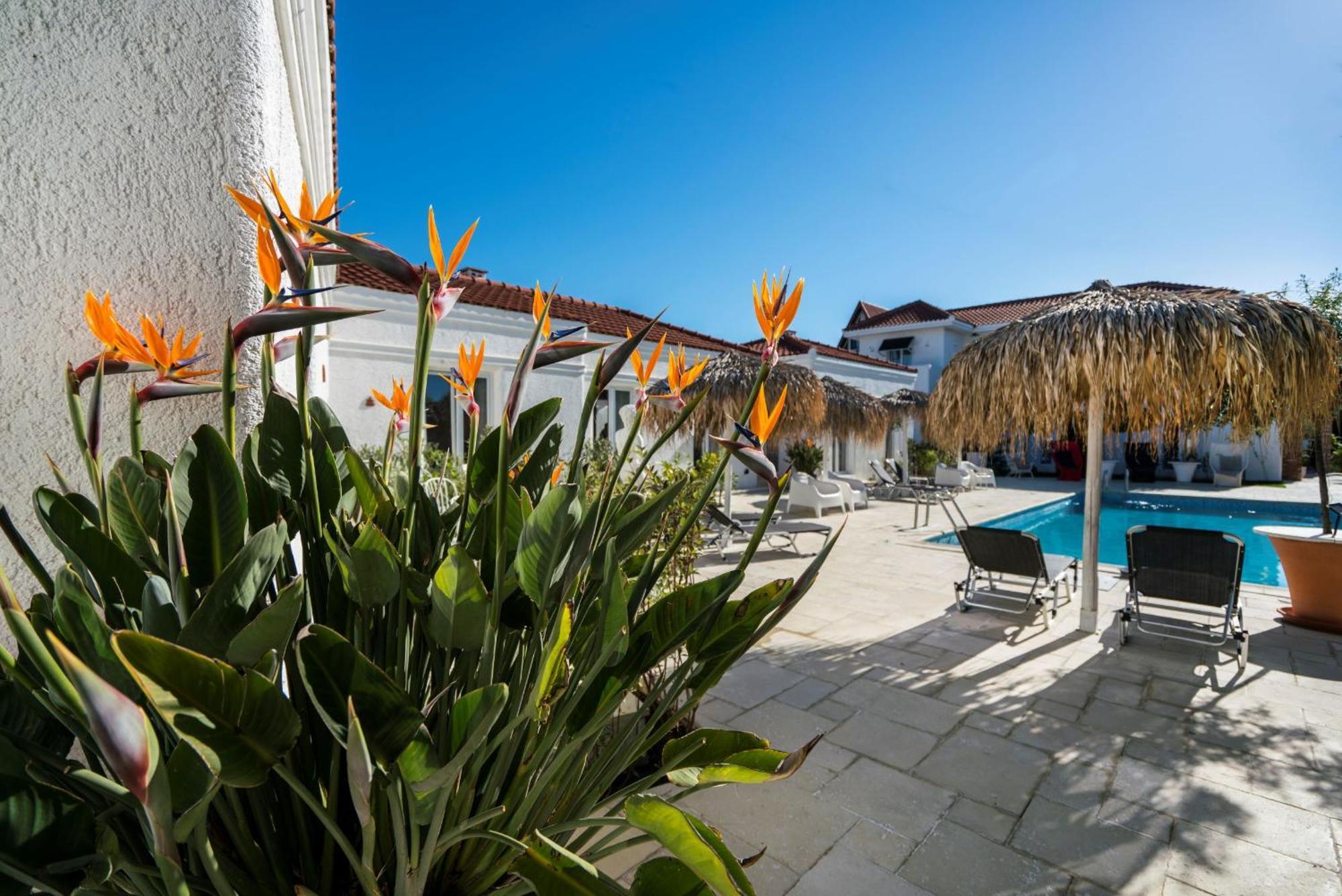 Hotel Maris Vama Veche Extérieur photo